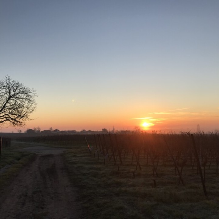 Bild Sonnenaufgang im Winter